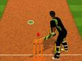 Joc Repte del batedor de cricket  en línia
