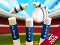Joc Mini Cricket: Campionat del Món de Terra 2019  en línia