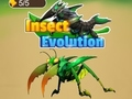 Joc Evolució dels insectes  en línia