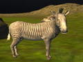 Joc Caça d'animals de la selva real  en línia