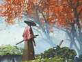Joc Reflexió Samurai  en línia