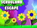 Joc Escape Scrubland en línia