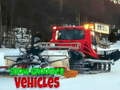 Joc Vehicles de neteja de neu  en línia