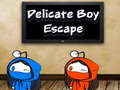 Joc Delicada Boy Escape  en línia