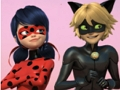 Joc Trencaclosques Miraculous Ladybug i Cat Noir  en línia