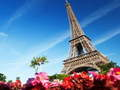 Joc Ultimate Puzzles França  en línia