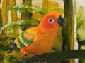 Joc Simpàtic trencaclosques Budgie  en línia