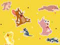 Joc L'espectacle de Tom i Jerry Troba-ho!  en línia