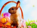 Joc Temps de Pasqua Estrelles amagades  en línia