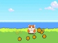 Joc Hamster Kombat Clicker en línia