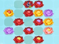 Joc Partit de flors-3  en línia