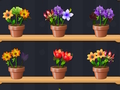 Joc Bon mestre de flors  en línia