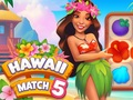 Joc Partit de Hawaii 5 en línia