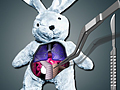 Joc Save The Bunny  en línia