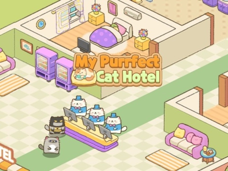 Joc El meu hotel de gats purrfect en línia
