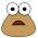 Pou Pou en lĂnia