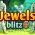 Joies Blitz Joies Blitz en lĂnia